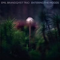 Bild till post Emil Brandqvist Trio: Entering the Woods