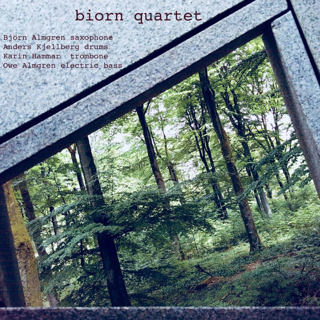 Bild till post biorn quartet: biorn quartet